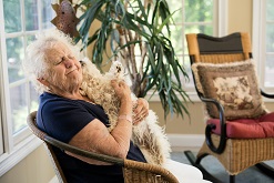 Promo oudere vrouw knuffelt hondje Oudere vrouw knuffelt hondje